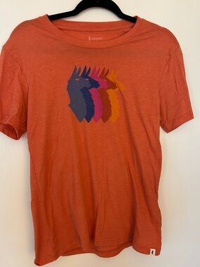 Cotopaxi Lama T shirt